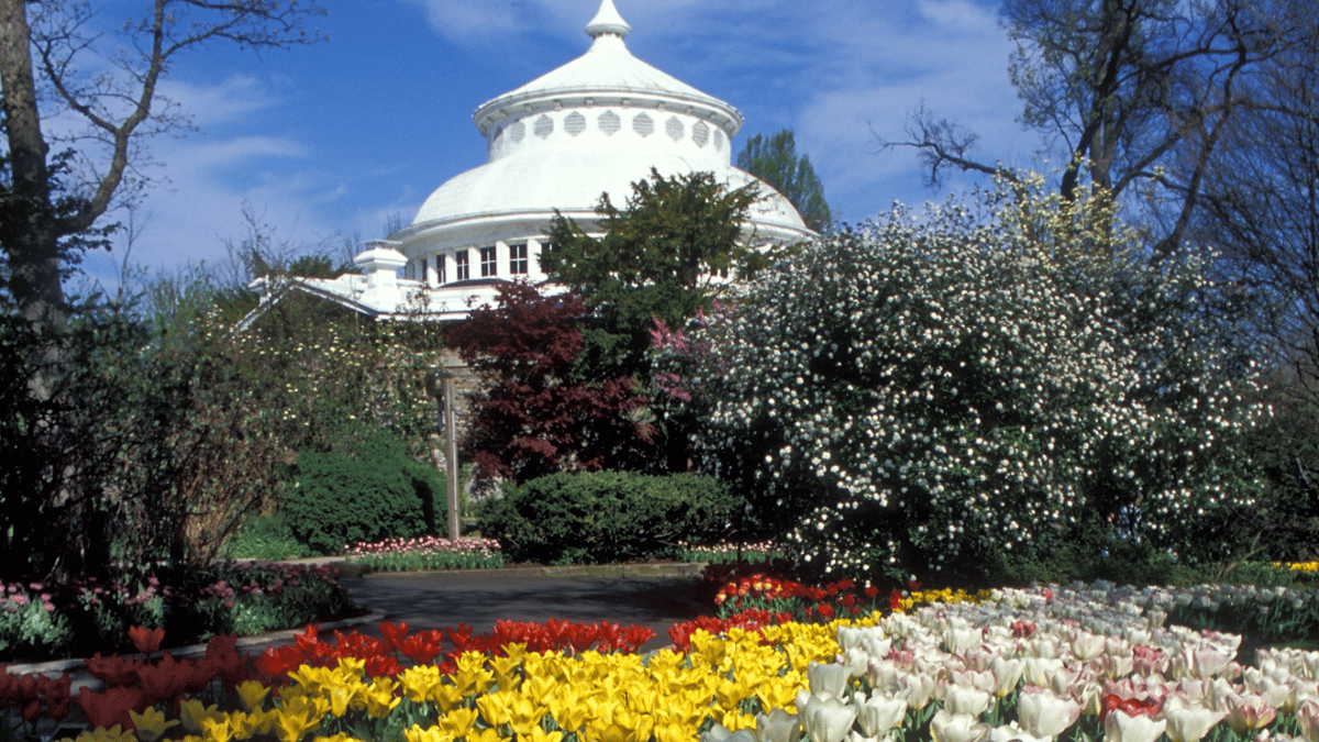 Cincinnati Zoo & Botanical Garden | Cincinnati Accounting Careers | Accounting Jobs in Cincinnati