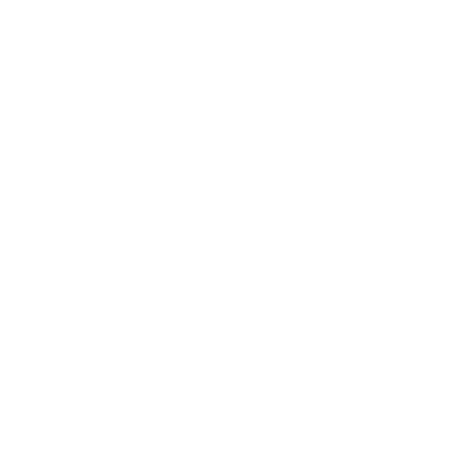 Audit & Accounting