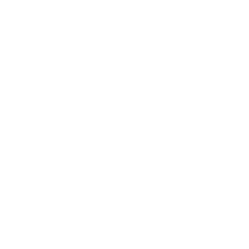Business Valuation & Litigation