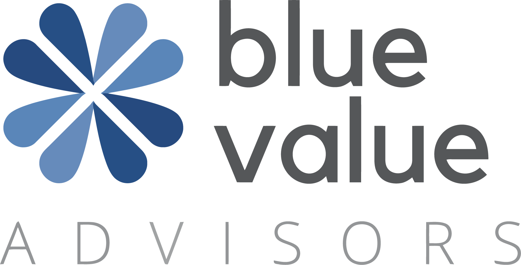 Blue Value Advisors logo
